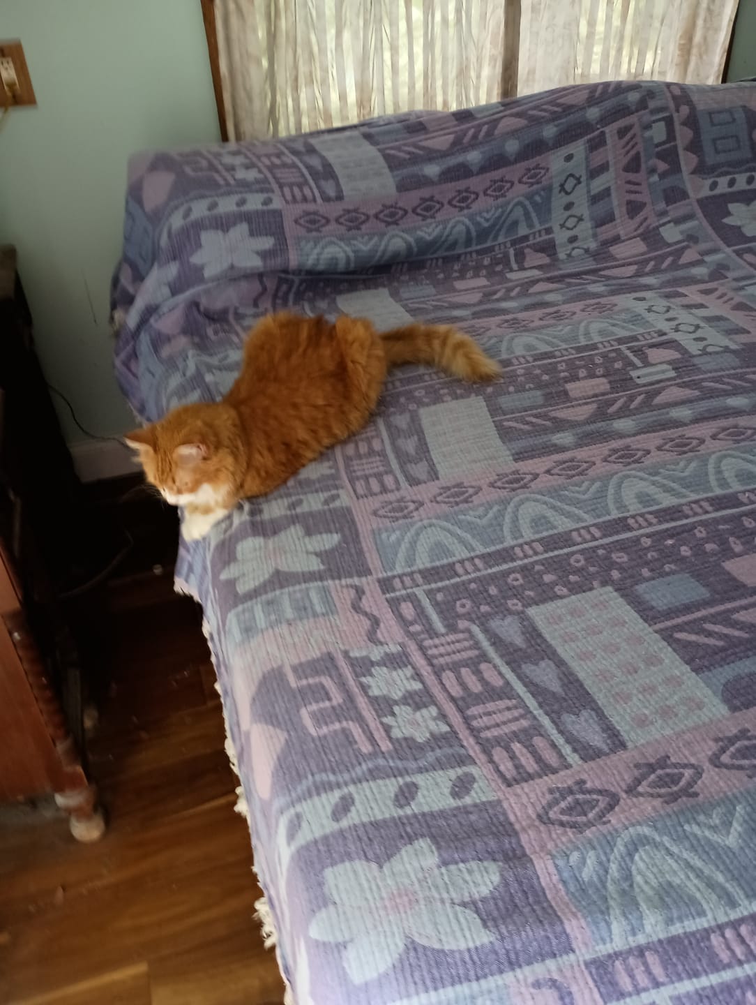 Customer photo review of Kilim Blanket - Violet