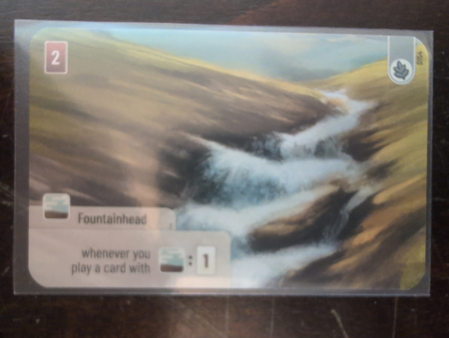 Customer photo review of Clear Matte Standard American Card Sleeves