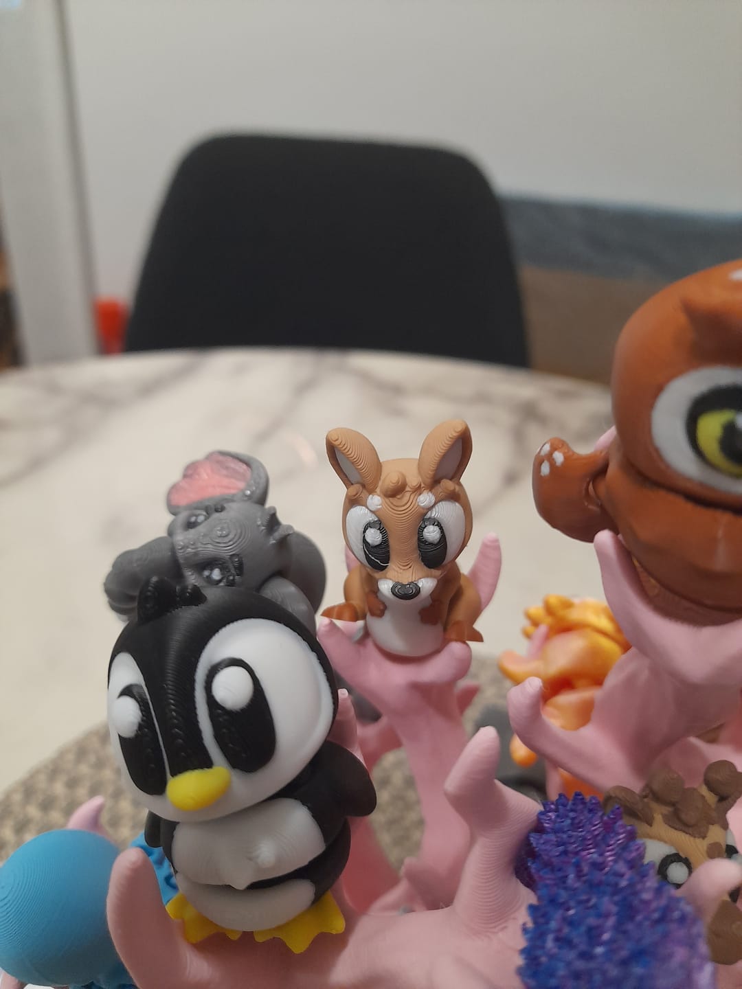 Customer photo review of Kangaroo