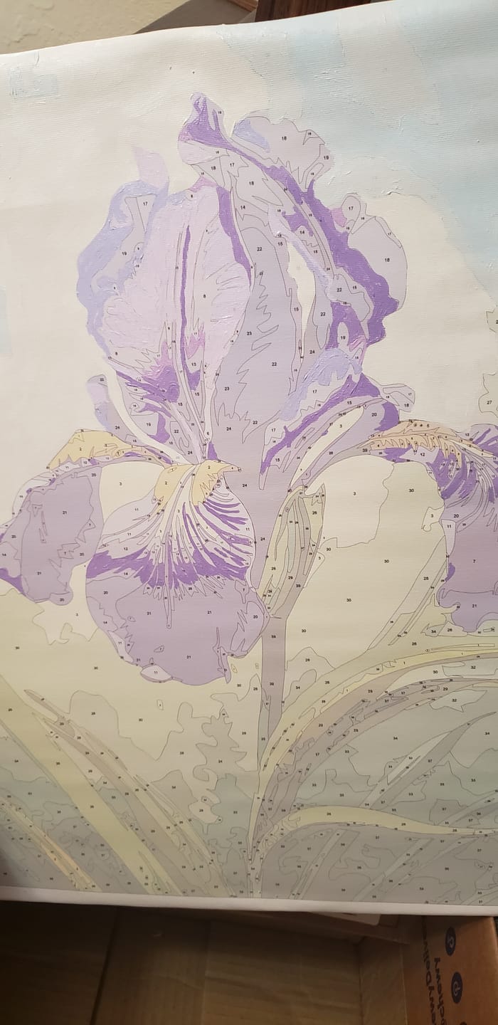 Customer photo review of Sunlit Iris