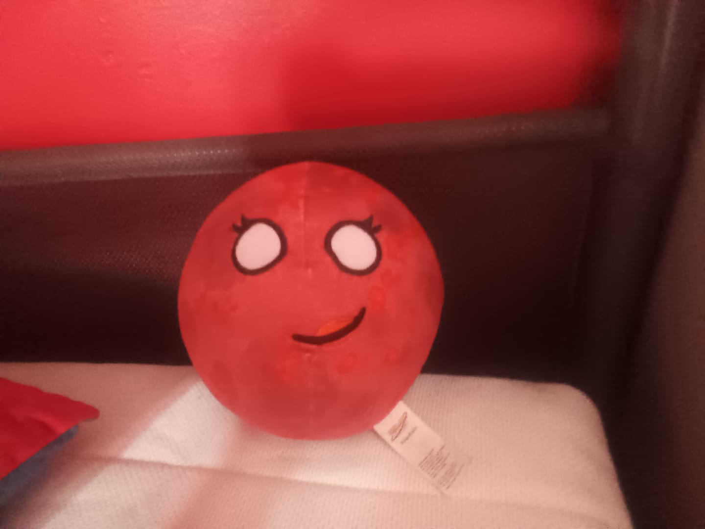 Customer photo review of The SolarBalls Theia Plush