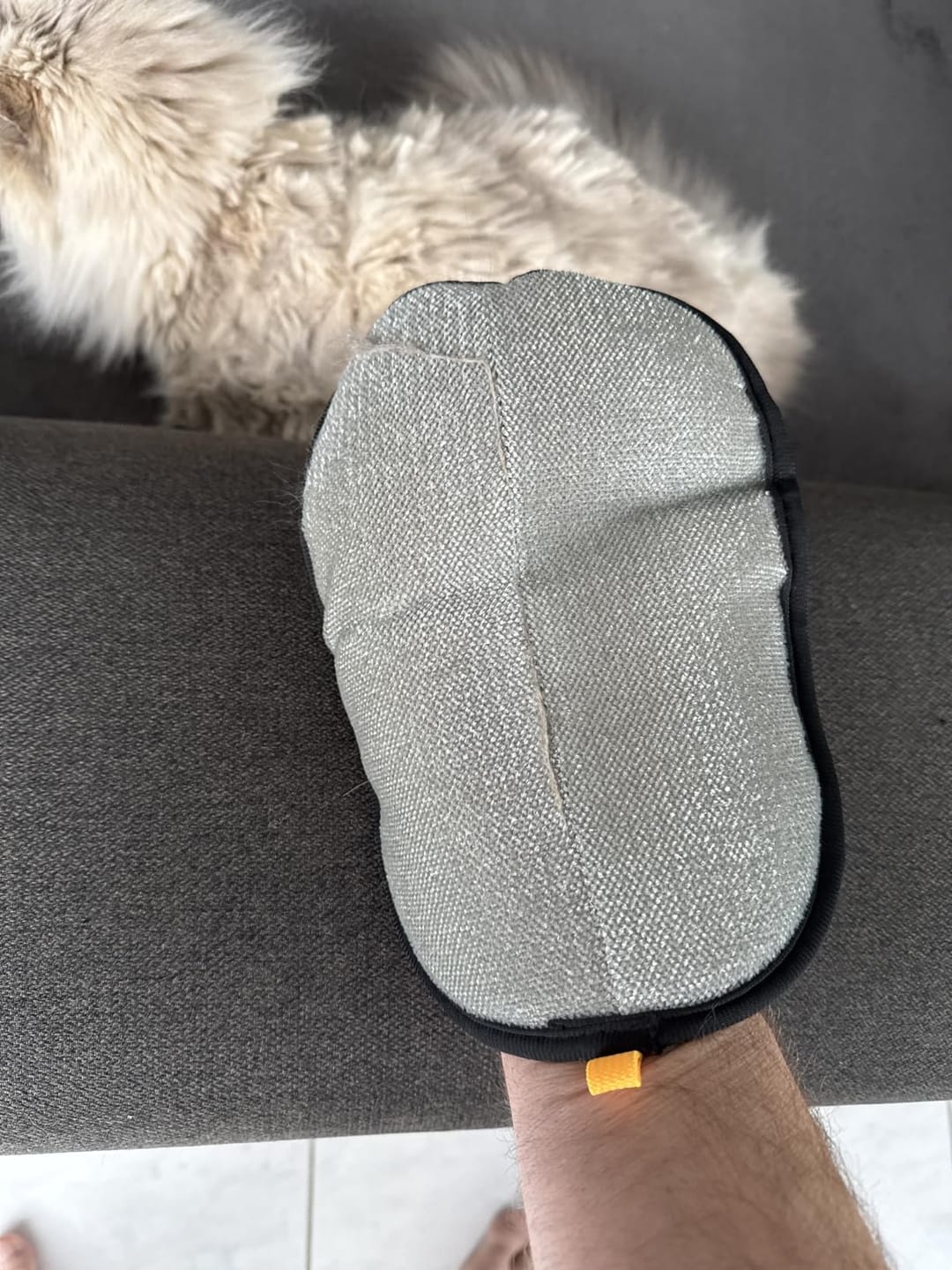 Customer photo review of Aktoclean™️ PawSwipe™️ | Gant électrostatique anti-poils