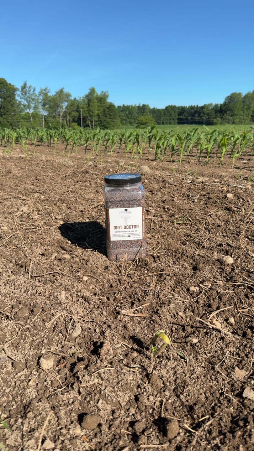 Customer photo review of Dirt Doctor