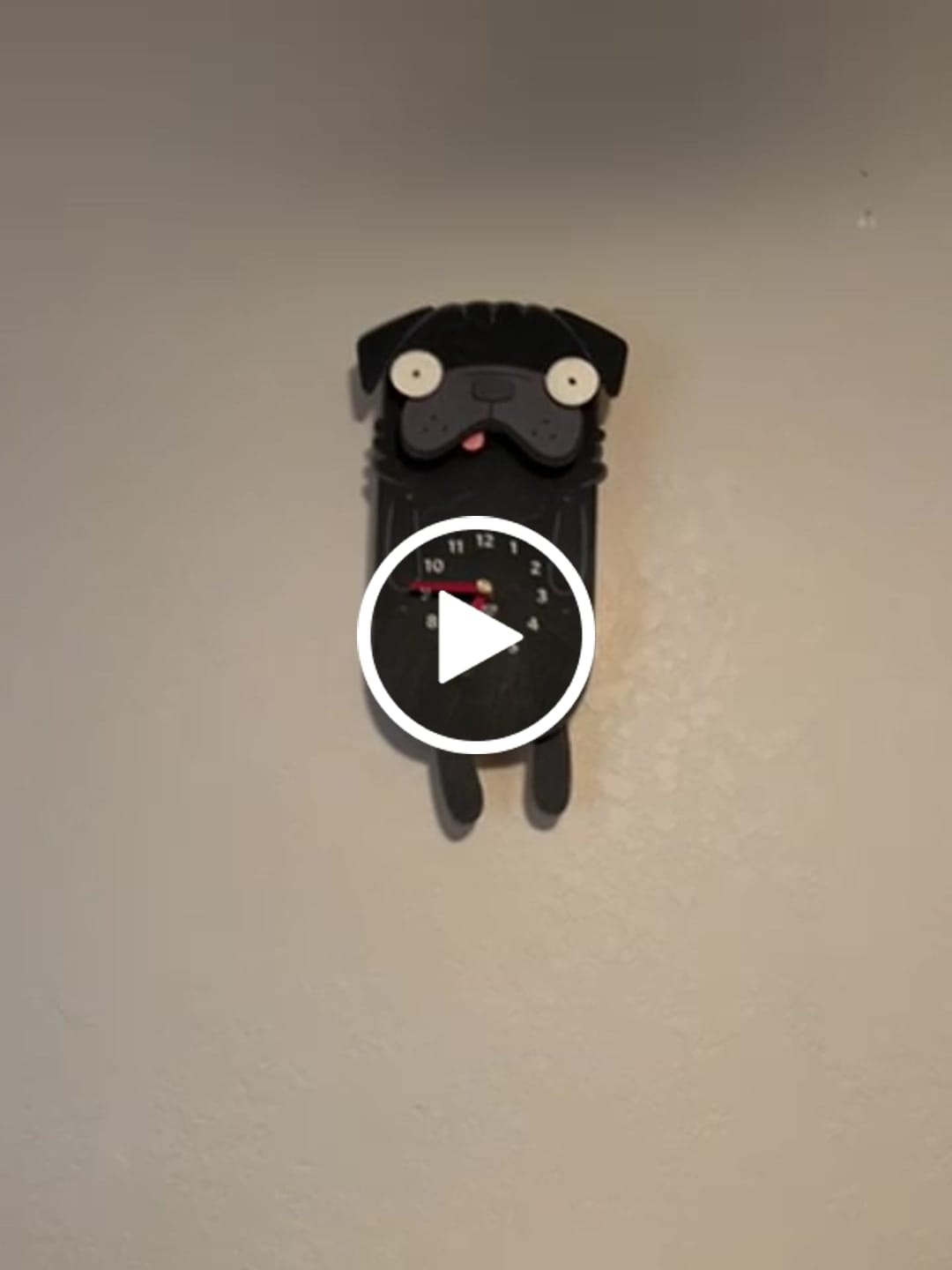 Customer video review of Penny the Pug Pendulum Clock