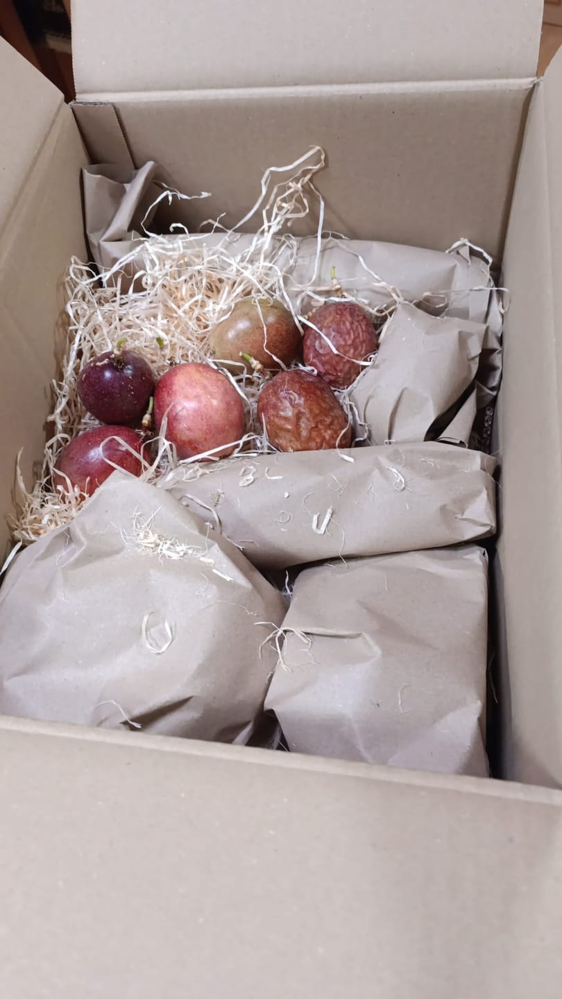 Customer photo review of Bio Obst & Gemüse Retterbox 5kg
