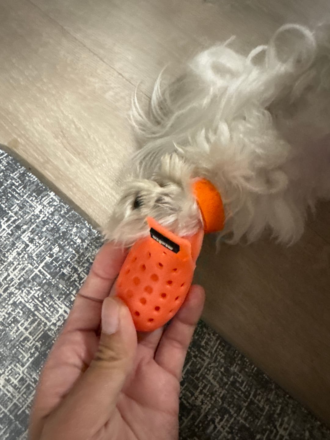 Customer photo review of WagWellies® Mojave Neon Orange