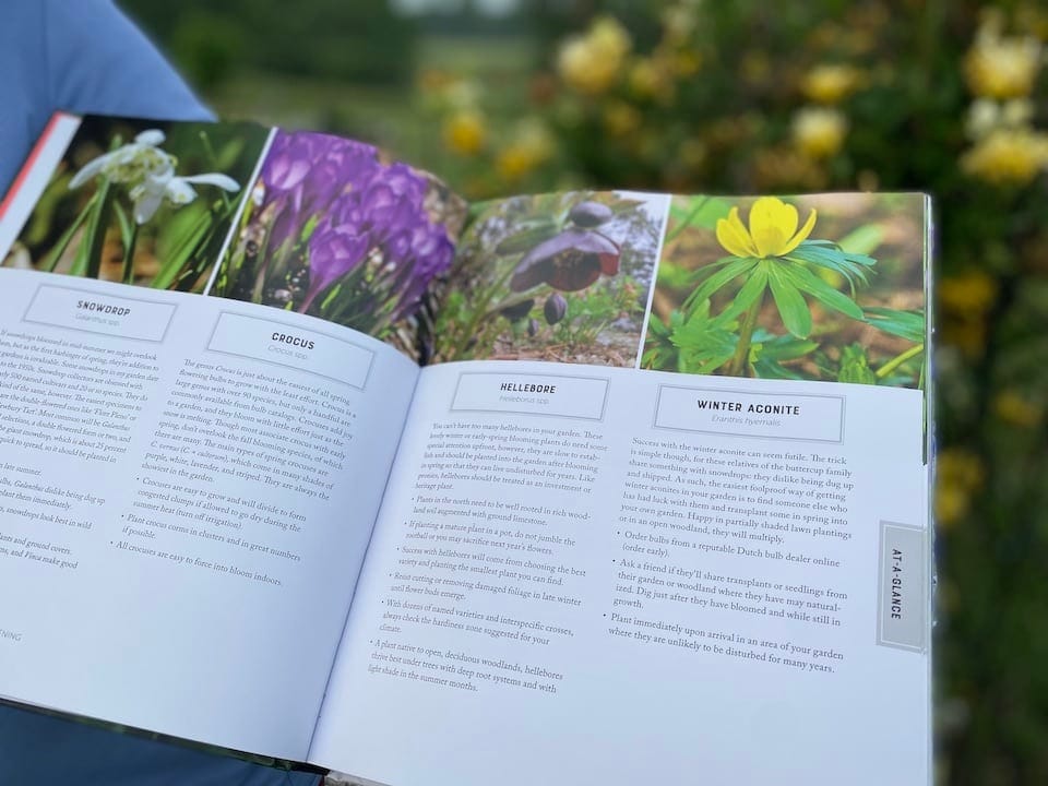 Customer photo review of 1.000+ Free Gardening Art Notes
