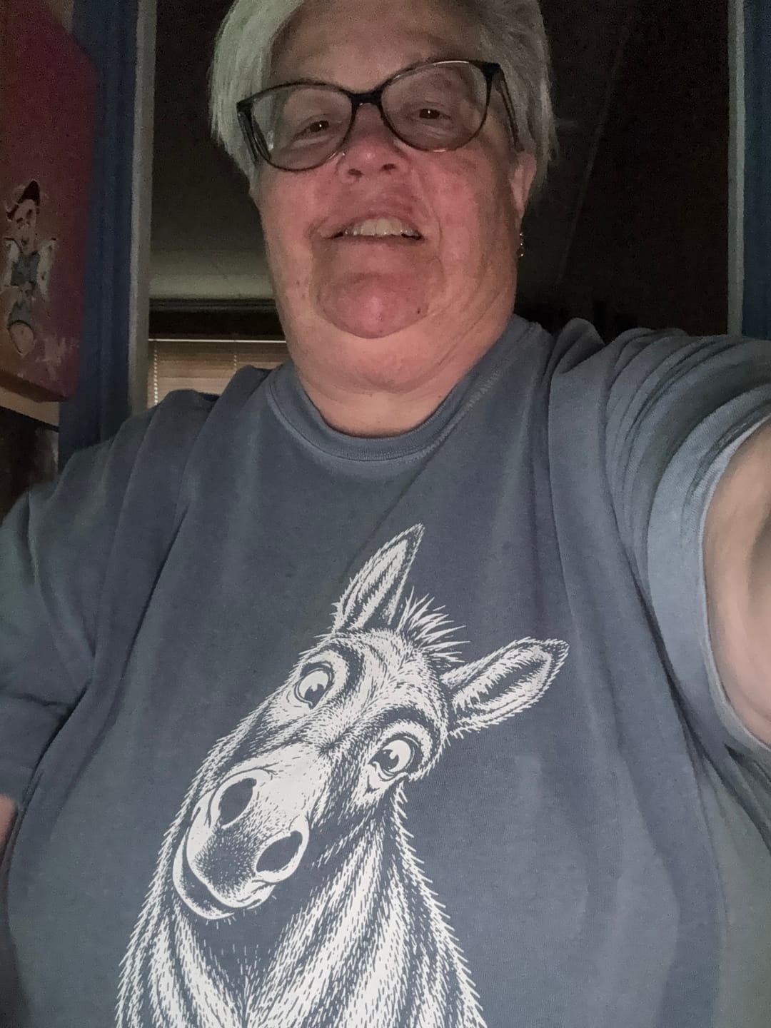Customer photo review of Balaam's Donkey T-Shirt