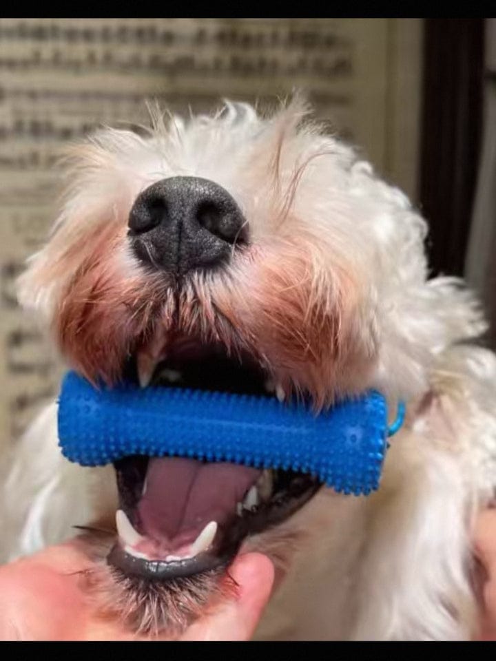 Customer photo review of Calming Assistant