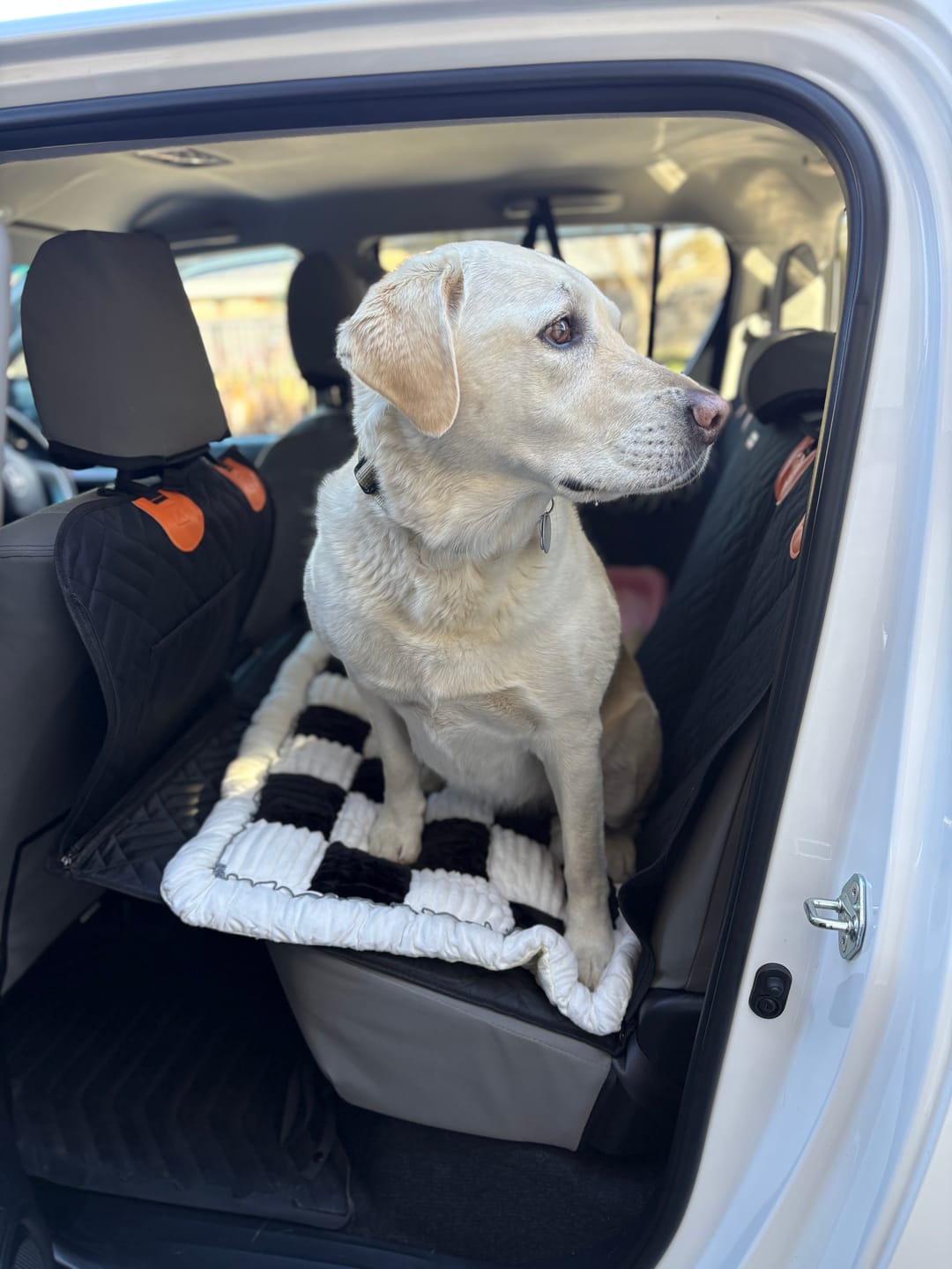 Customer photo review of Companion&Co™ CalmDrive Travel System