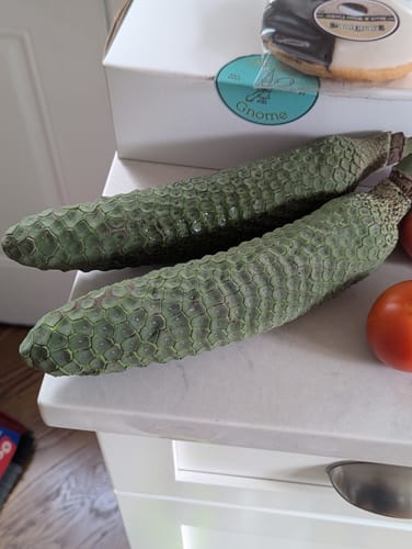 Customer photo review of Monstera Deliciosa (Monstera Fruit) **PRE ORDER**