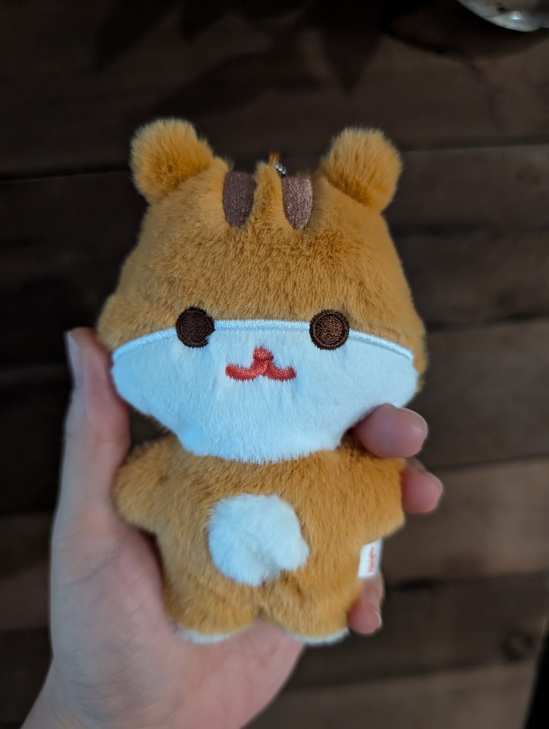 Customer photo review of [ANITEEZ IN TREASURE] FLATFUR PLUSH (PRE-ORDER)