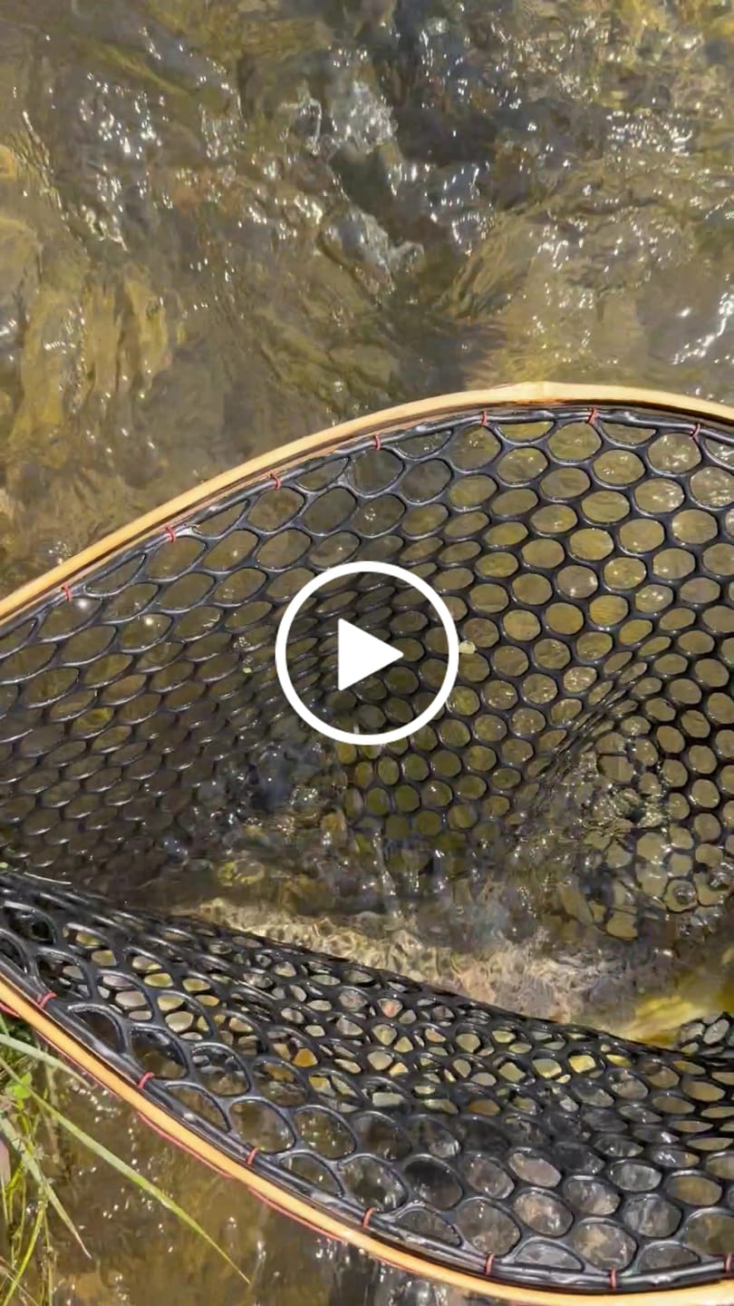 Customer video review of The Pocket Water