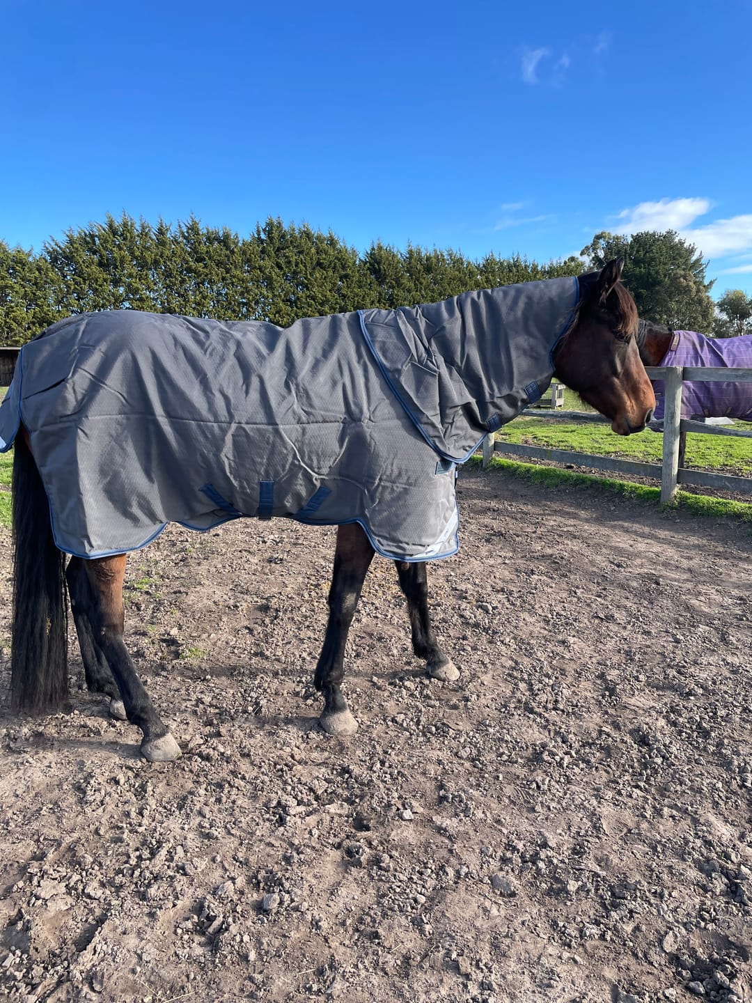 Customer photo review of Rhino Plus HexStop 100g