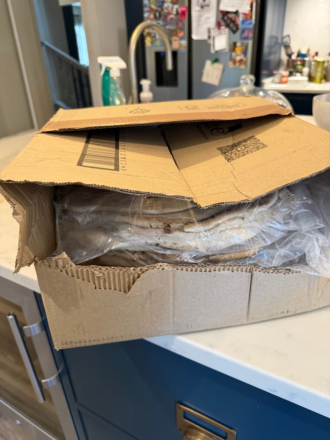 Customer photo review of Sourdough Pizza Bases