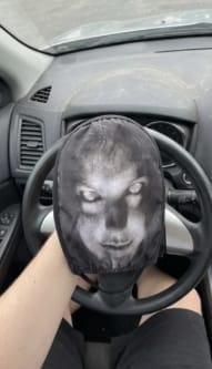 Customer photo review of NightScare™ Headrest Cover