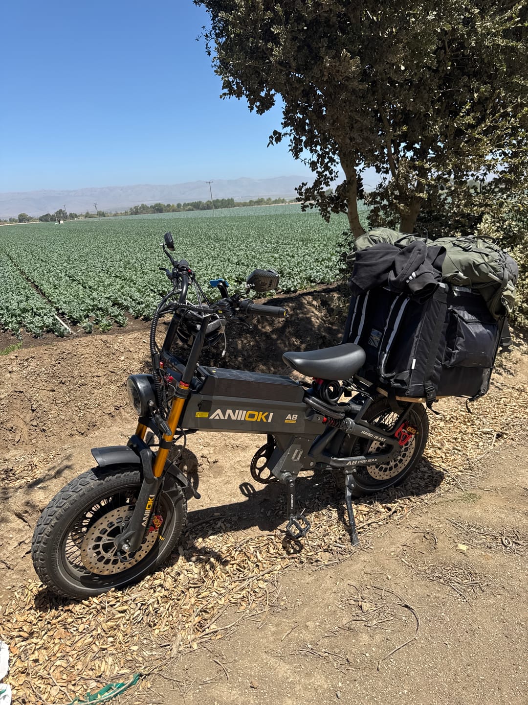 Customer photo review of Aniioki A8 Pro Max GT eBike(Pre-sale)