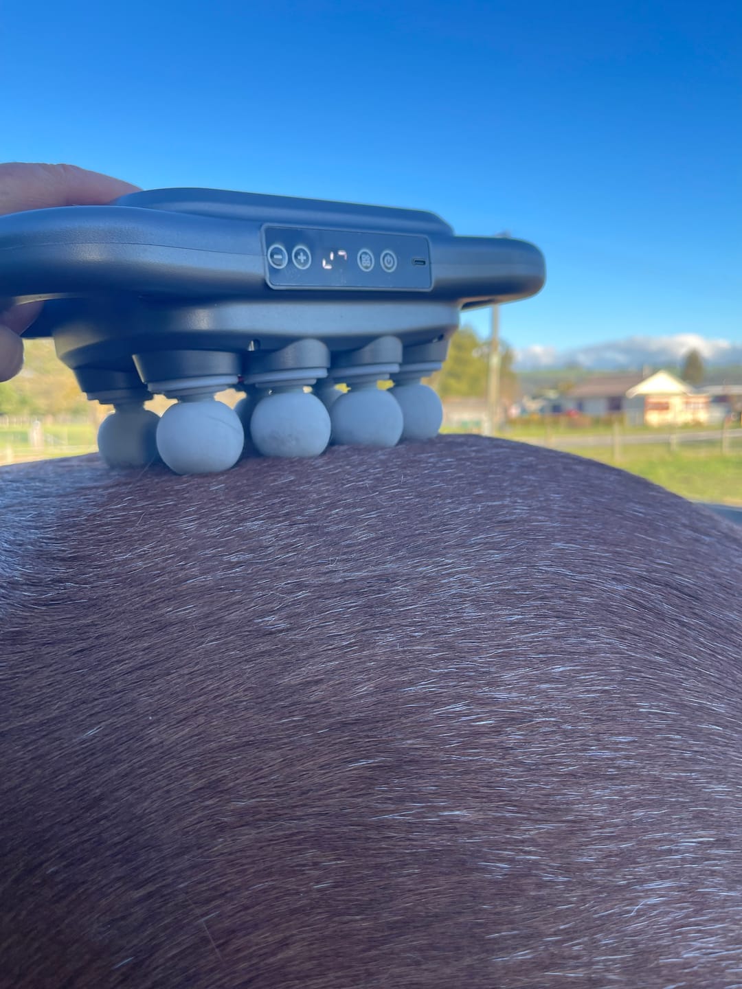 Customer photo review of HorseHalo™ 8 Heads Red Light Massage Gun