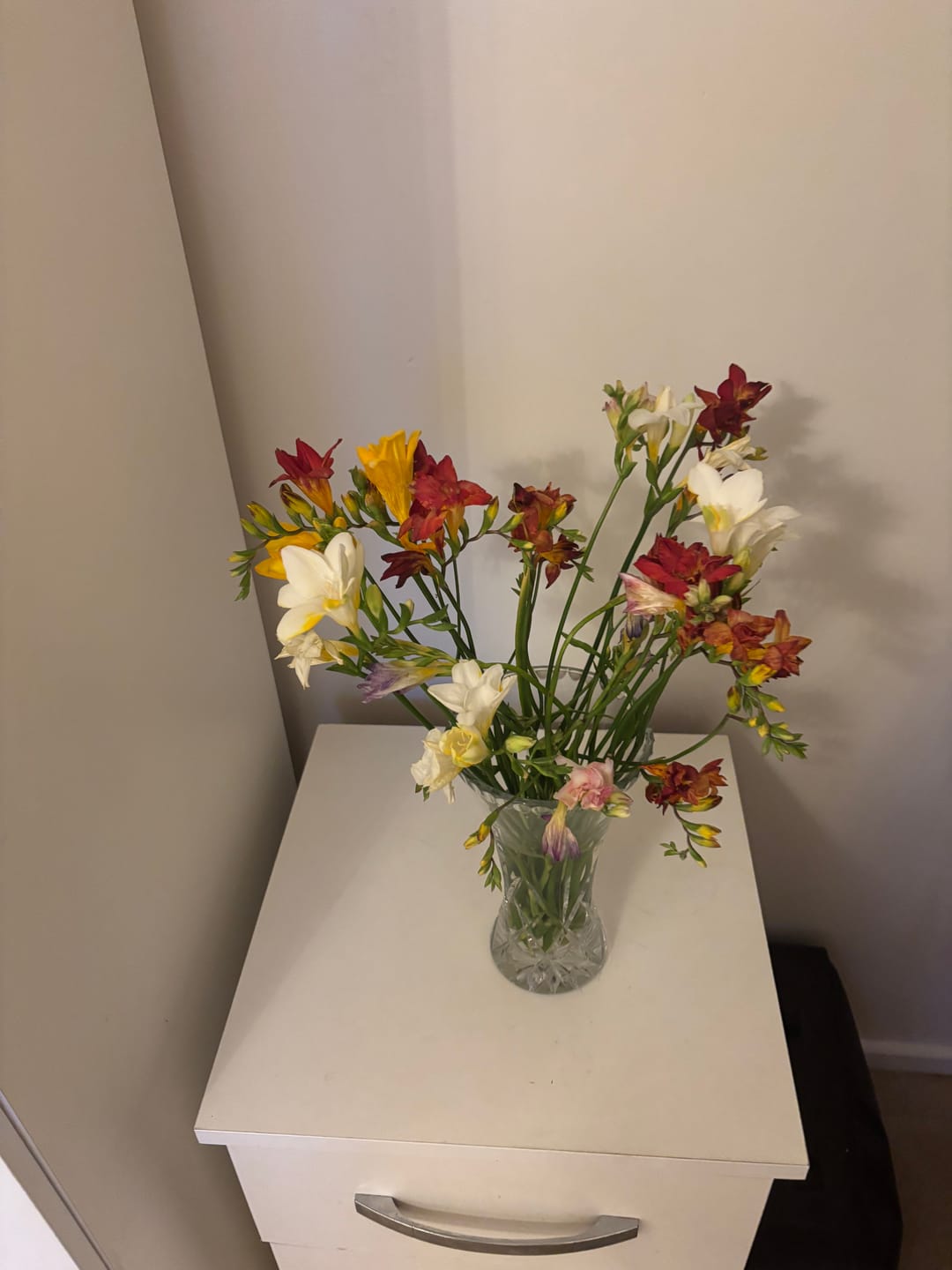Customer photo review of Mixed Guernsey Long Stem Freesia Flowers