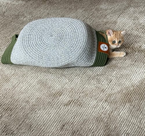Customer's ginger kitten peeking out from underneath an overturned Instinct Basket on a carpeted floor.