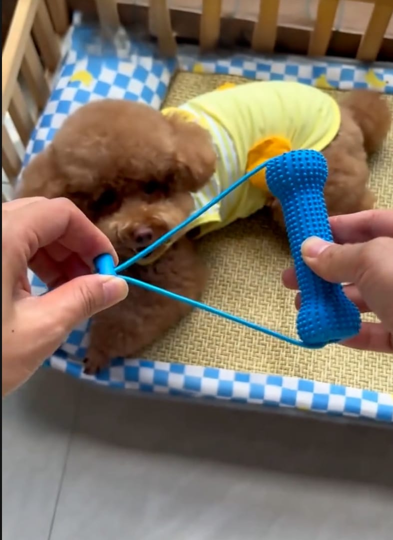 Customer photo review of Calming Assistant