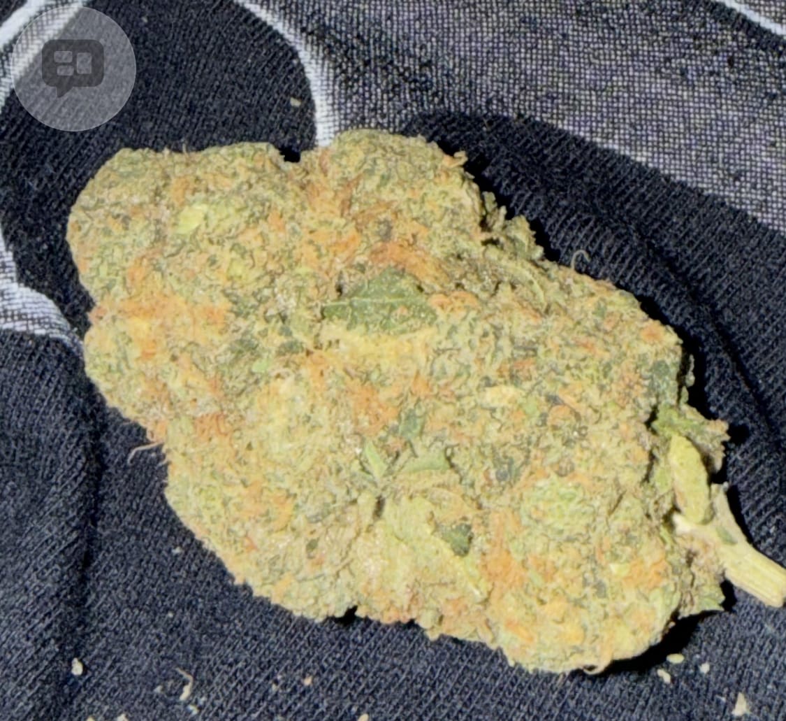 Customer photo review of Biscotti THCA Flower (Premium)