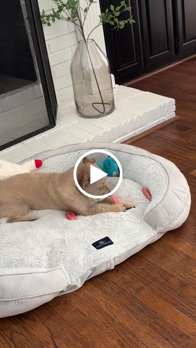 Customer video review of Strawberry Yak Chew — Vitamin C, Fiber & Teeth Whitening