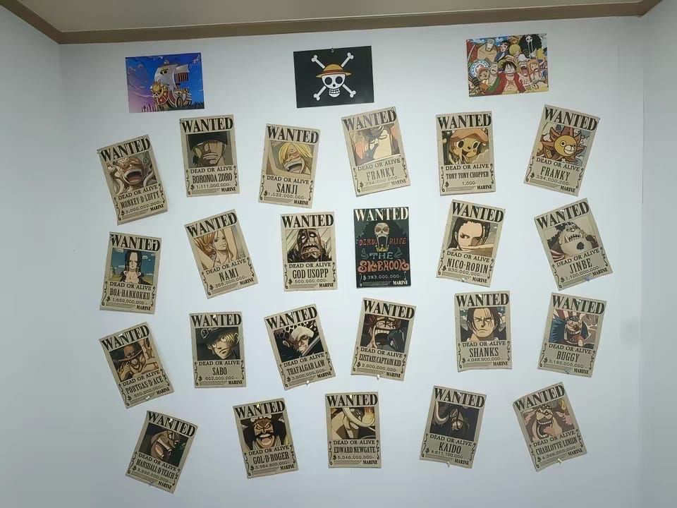 Customer photo review of 2026 Latest Updated Parchment Wanted Poster,Bounty Poster Total 264 Pieces