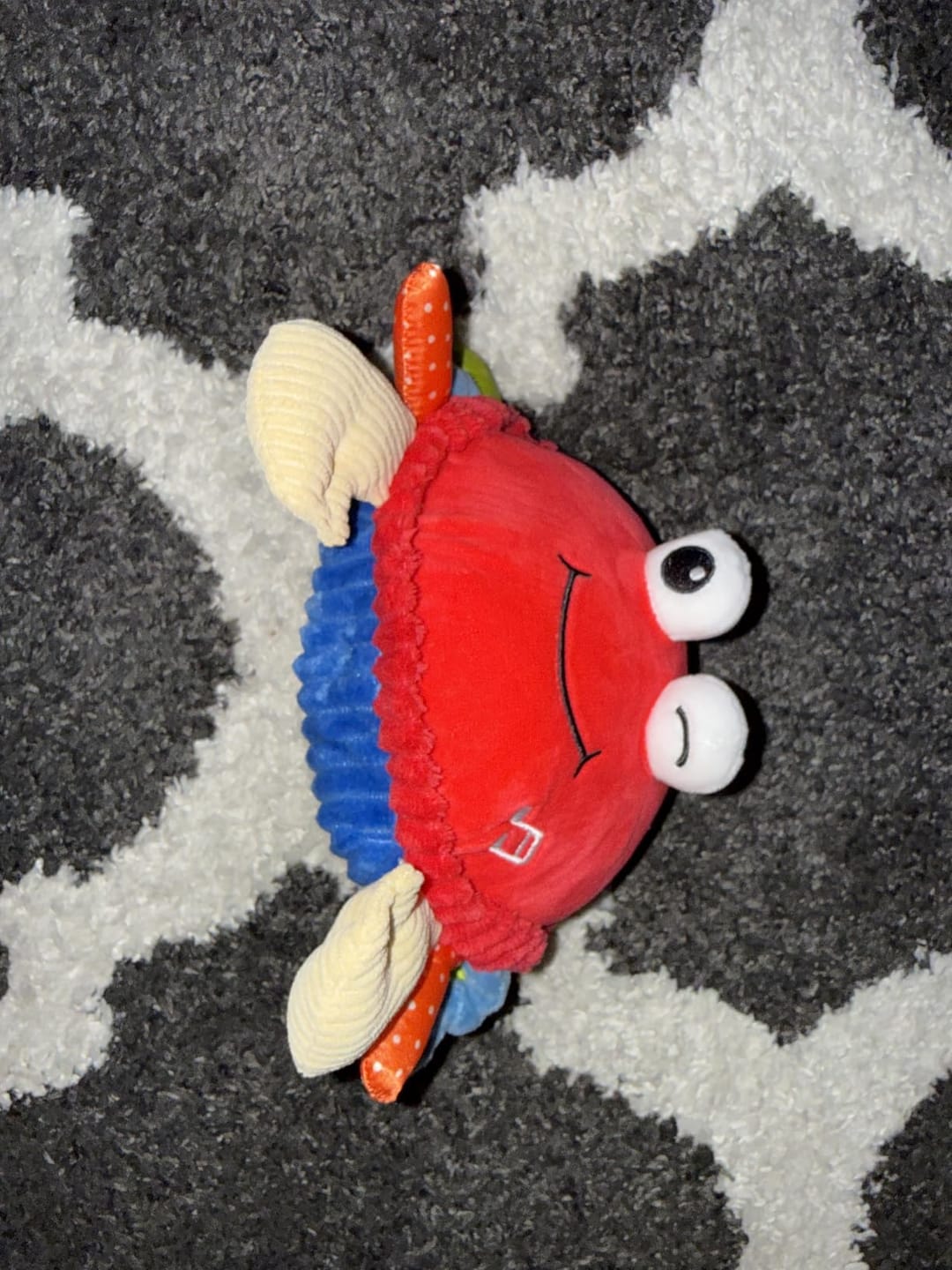 Customer photo review of Crabby GO™- Il Granchietto Interattivo che insegna a gattonare giocando