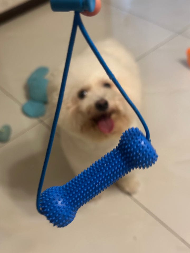 Customer photo review of Calming Assistant