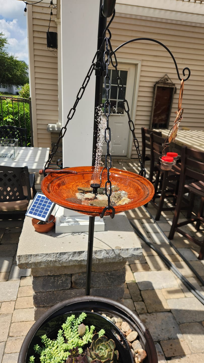 Customer photo review of Solar Bubbler Hanging Bird Bath- 3 Colors