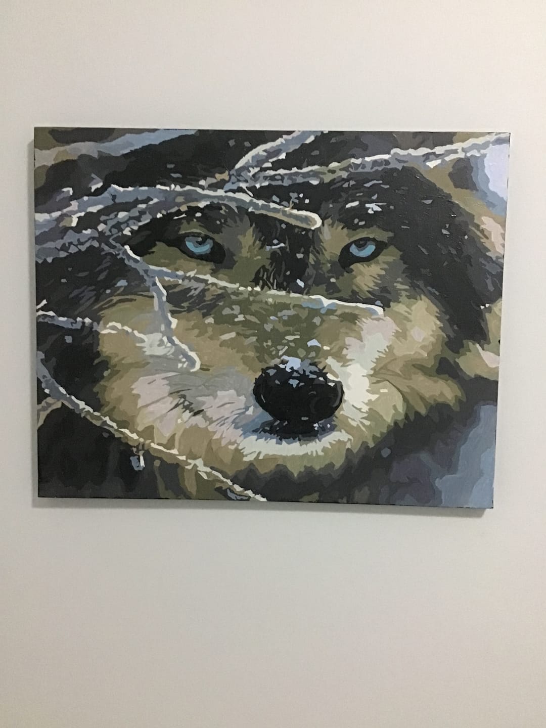 Customer photo review of Wolf Gaze in Snow