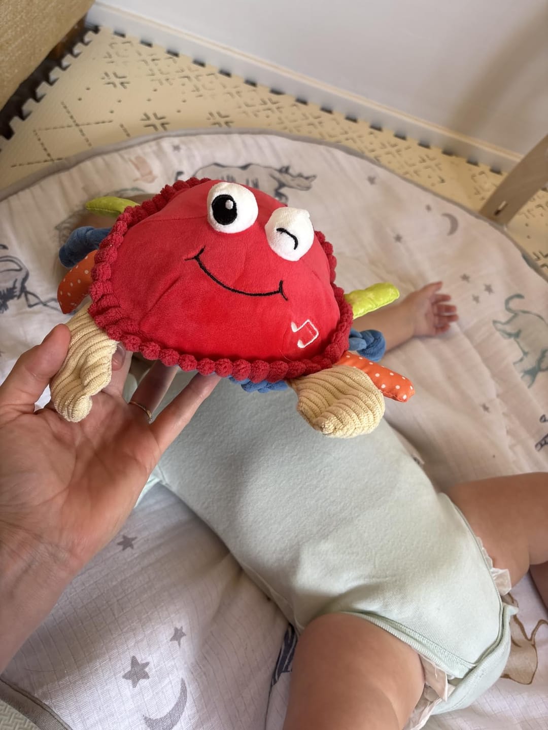 Customer photo review of Crabby GO™- Il Granchietto Interattivo che insegna a gattonare giocando