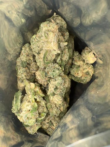 Customer's Milk & Cookies Premium Bundle in an open plastic pouch, featuring dense green and orange cannabis flower buds.
