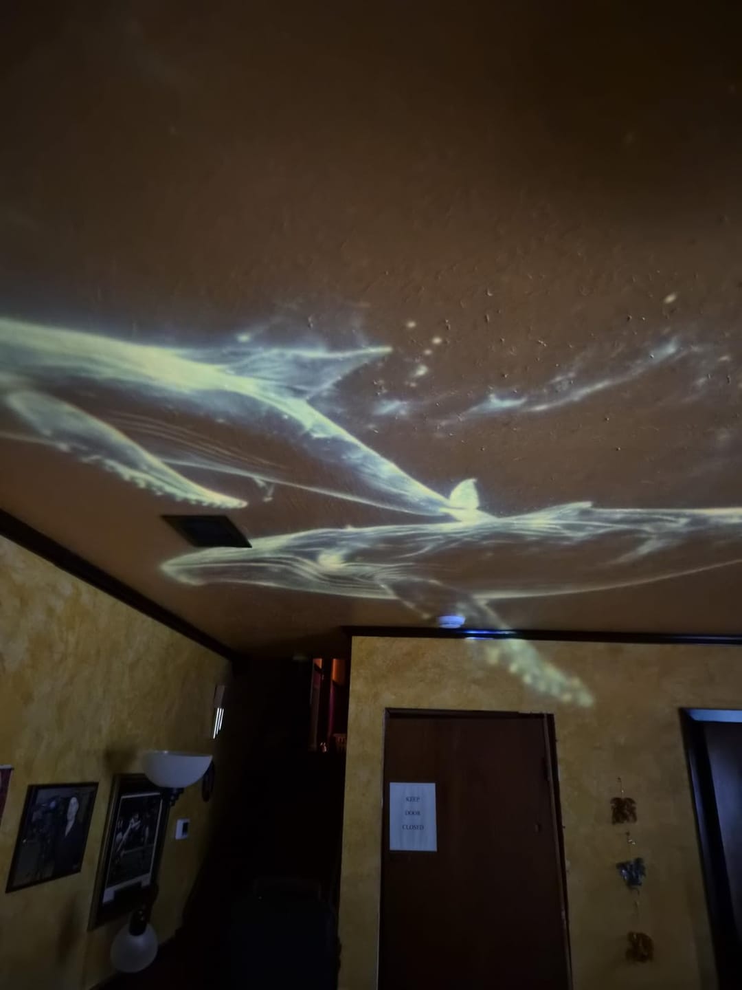 Customer photo review of Litlamp® Holografischer Nachtlichtprojektor