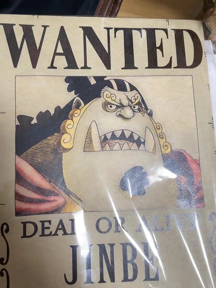 Customer photo review of 2026 Latest Updated Parchment Wanted Poster,Bounty Poster Total 264 Pieces