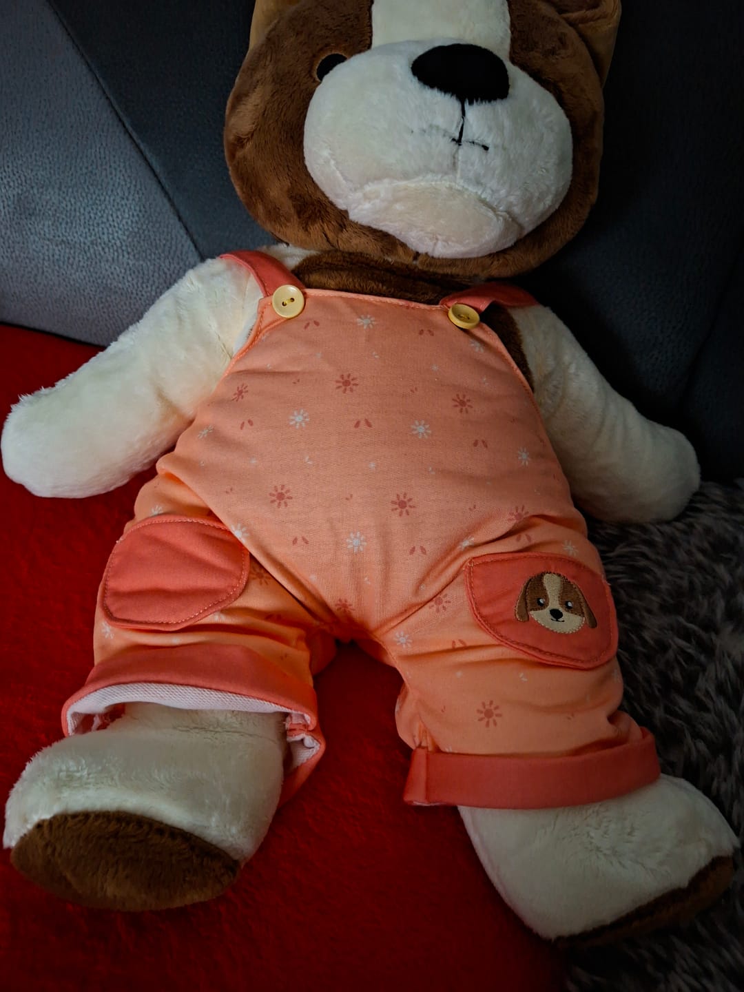 Customer photo review of Hond Kleding Lente Lotgenootje