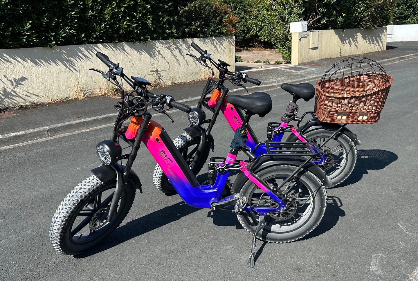 Customer photo review of CMACEWHEEL V20 750W 20" Fat Bike 960Wh Full Suspension E-bike with Torque Sensor 48V 20Ah Battery