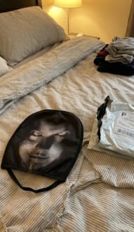 Customer photo review of NightScare™ Headrest Cover