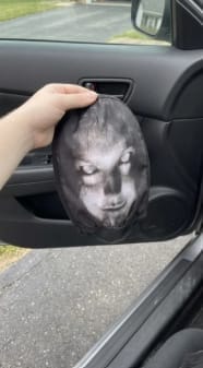 Customer photo review of NightScare™ Headrest Cover