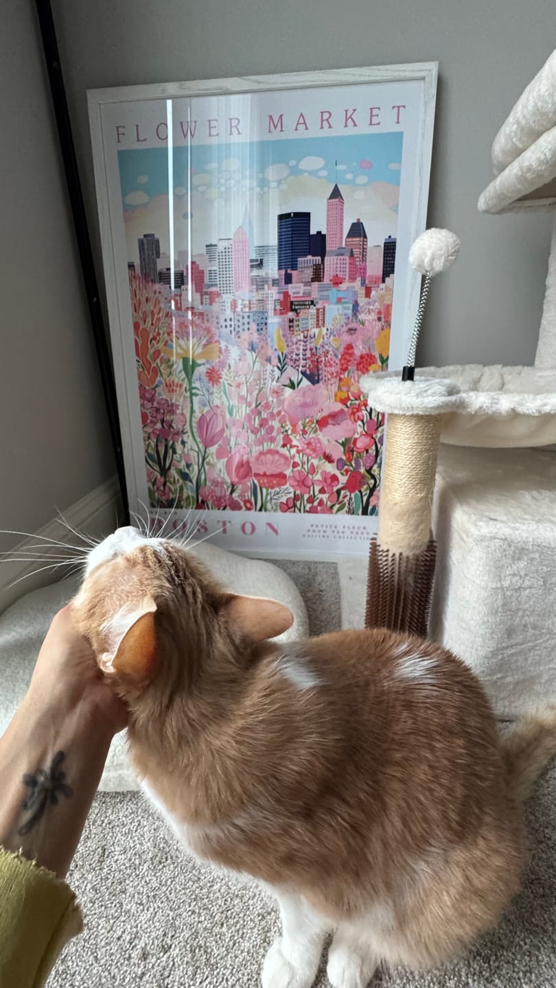 Customer photo review of Boston Flower Poster