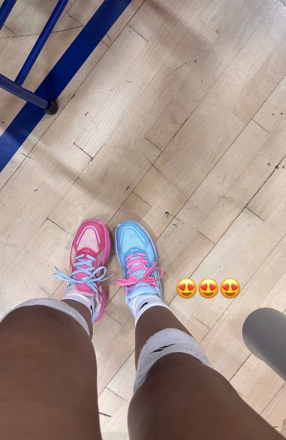 Customer photo review of BIG3 4.0 Quick "Reverse"