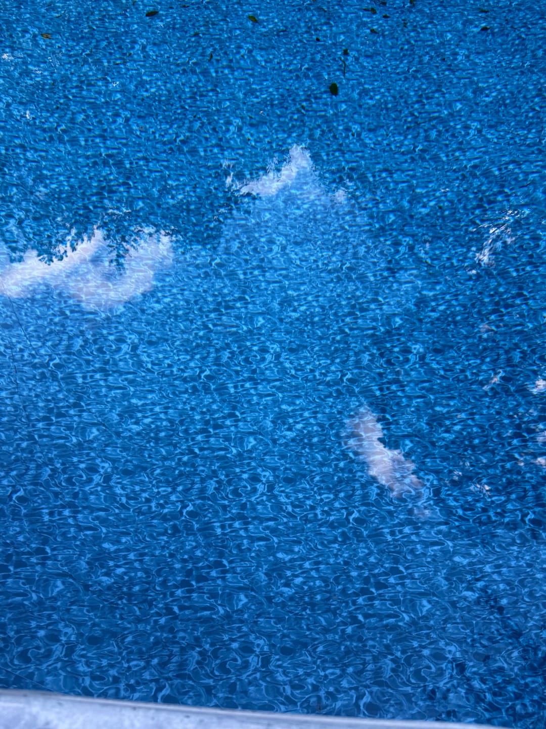 Customer photo review of E-Z Pool 20lb All in One Concentrated Pool Care Solution