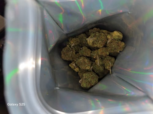 CBD Flower - Garlic Breath photo review