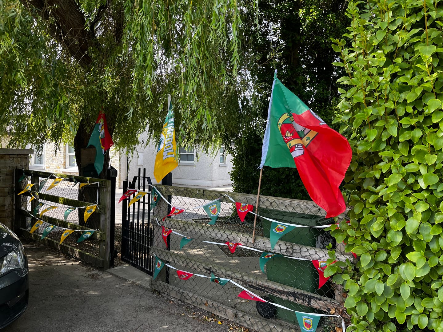 Customer photo review of Mayo GAA Crest Flag