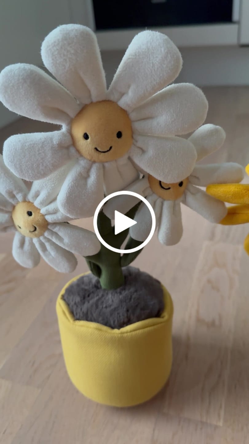 Customer video review of Amuseables Daisy | Jellycat
