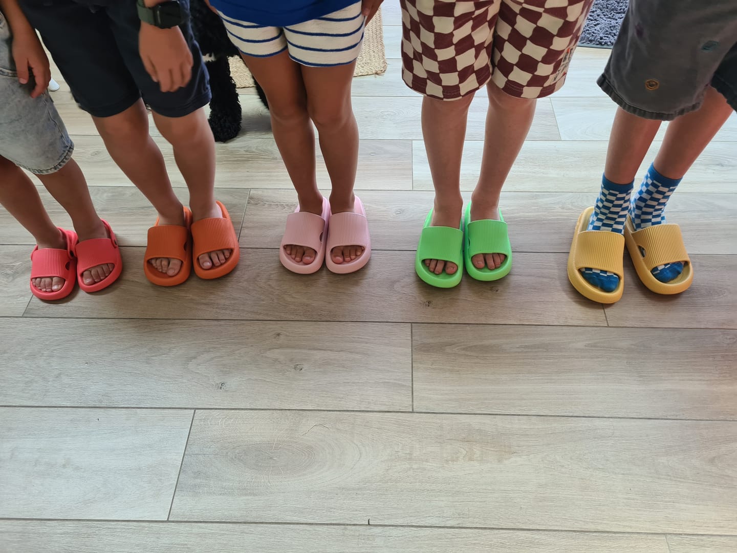 Customer photo review of HappyMini