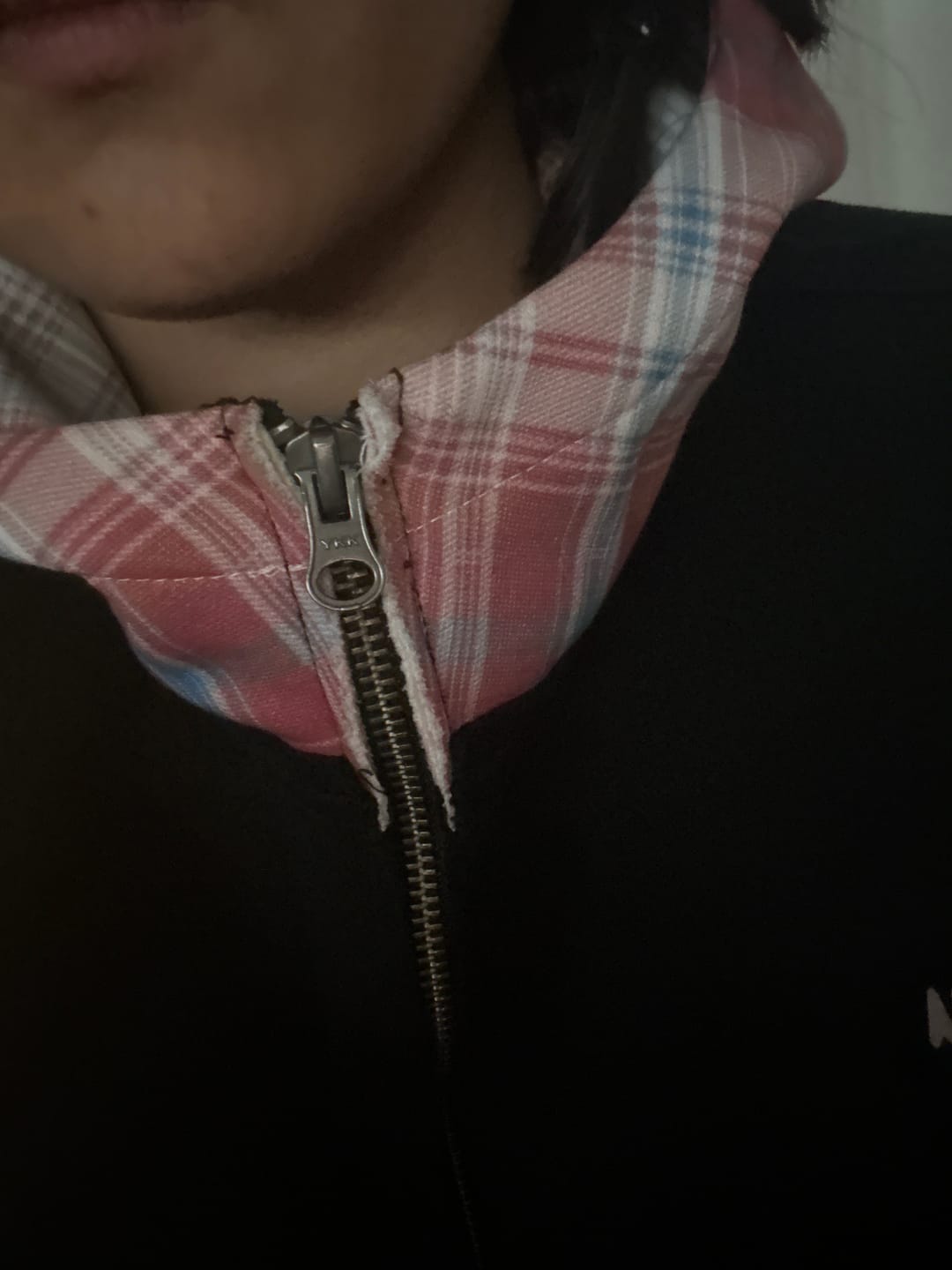Customer photo review of Aelfric Eden Boxy Plaid Hood Zip Up Hoodie