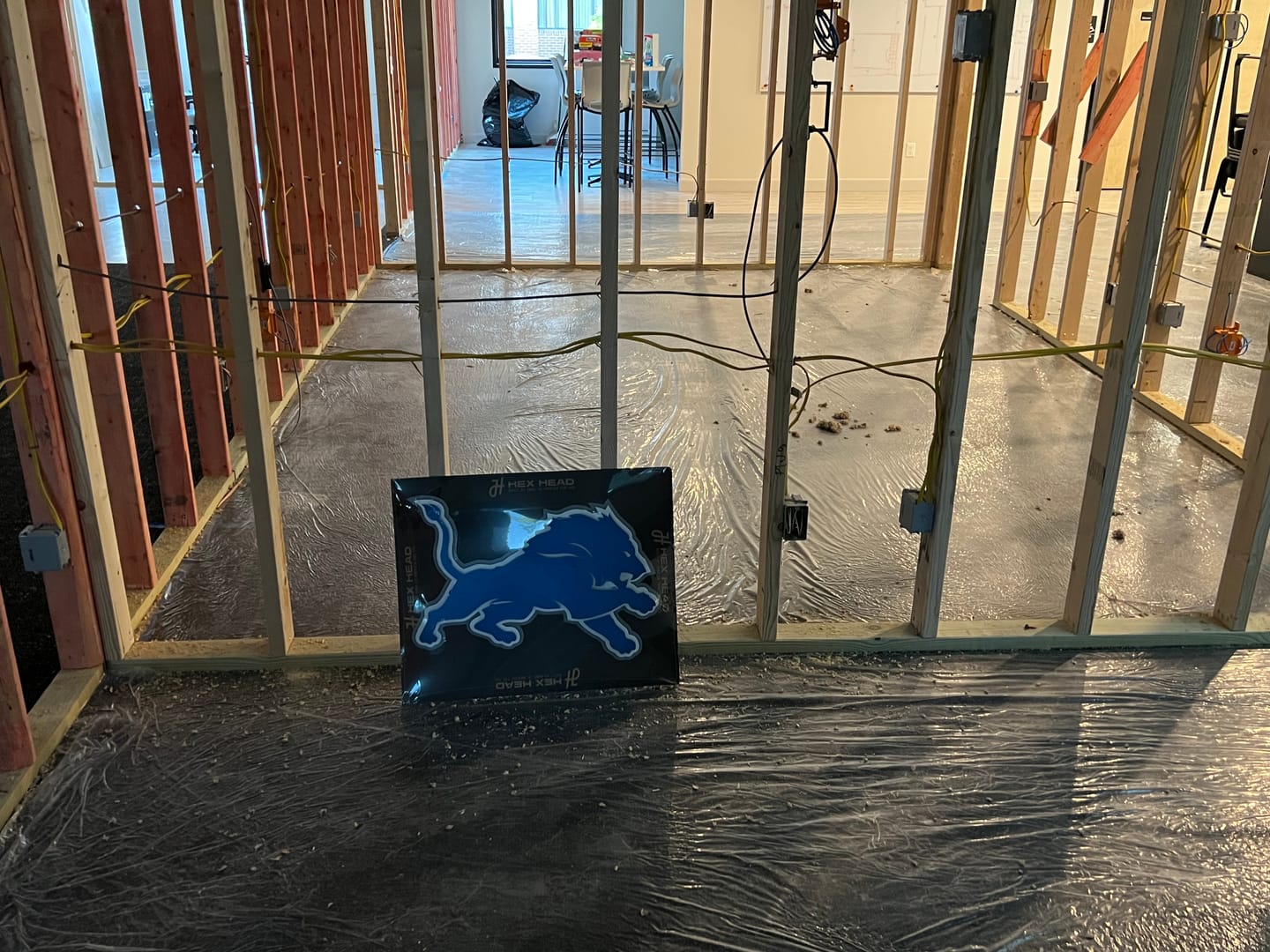 Customer photo review of Detroit Lions 3D Vintage Metal Wall Art