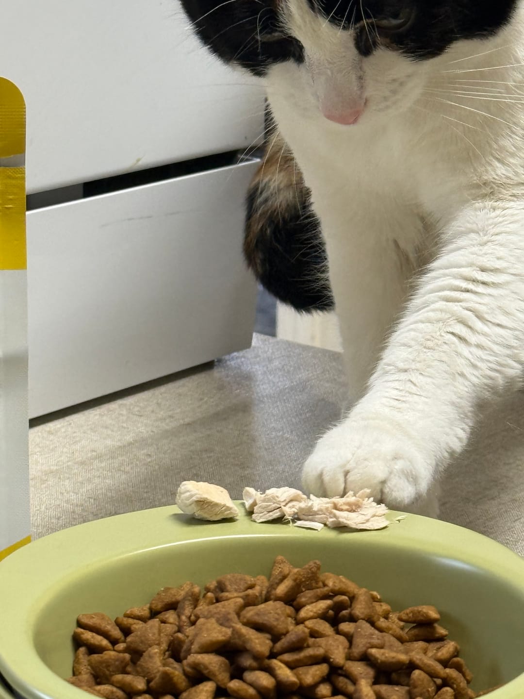 Customer photo review of Michu Freeze-Dried Raw Pet Food Dog & Cat Treat 150g - Made in Australia